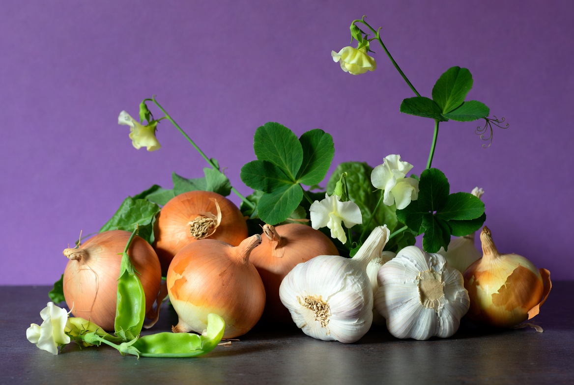 Onions Garlic Peas on Purple Background Onions Garlic Peas on Purple Background