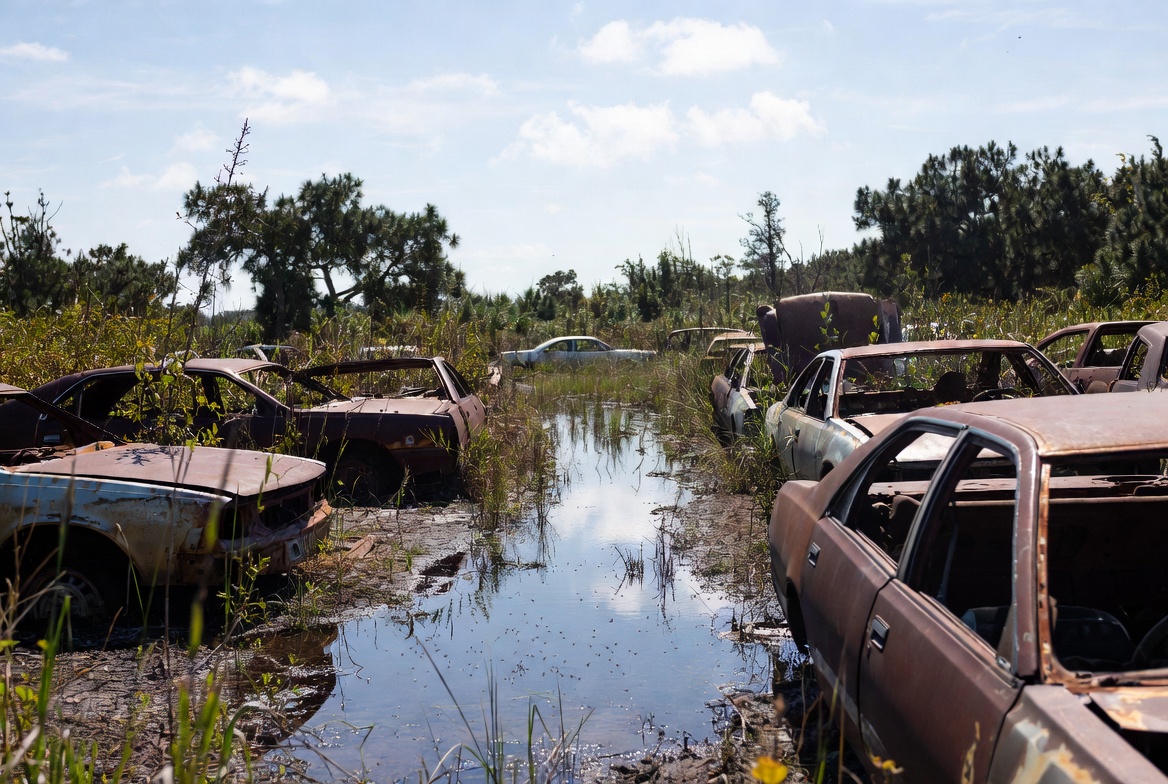 Rusty abandoned cars in swamp Rusty abandoned cars in swamp