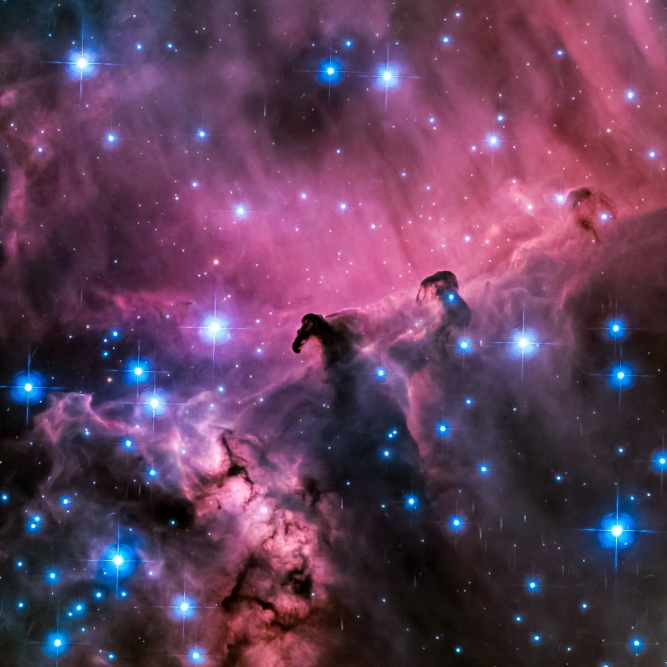 Horsehead Nebula in Orion Horsehead Nebula in Orion