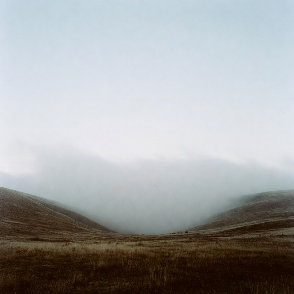 Foggy valley with grassy hills Foggy valley with grassy hills