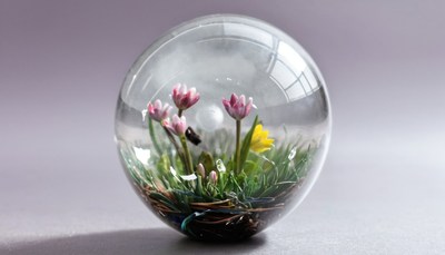 Glass sphere with flowers