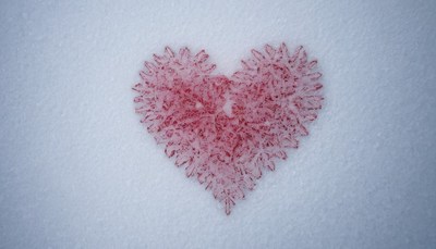 Pink frost heart on snow