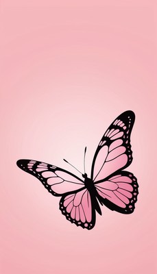 Pink butterfly on pink background
