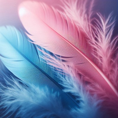 Pink and blue feathers close-up
