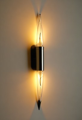 Wall-mounted light fixture with two bulbs