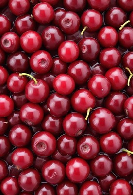 Close up of red cherries