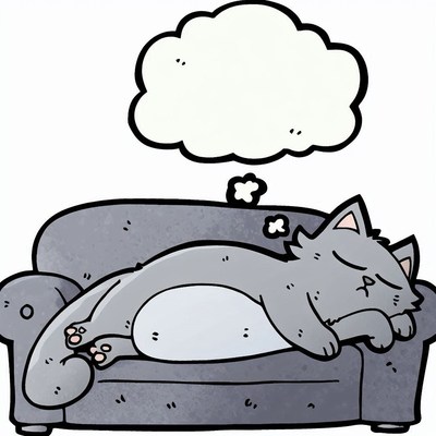Cat sleeping on couch