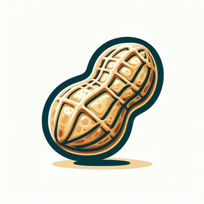 Single peanut illustration
