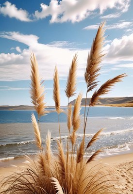 Beach grass under blue sky