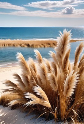 Pampas grass by the ocean on a sunny day