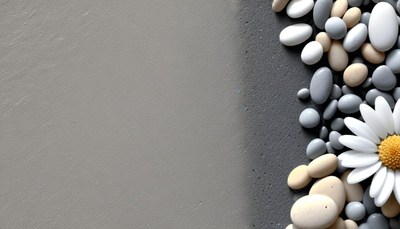 Grey and white stones with daisy