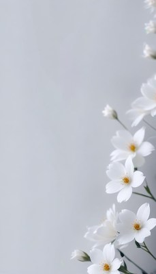 White flowers on grey background