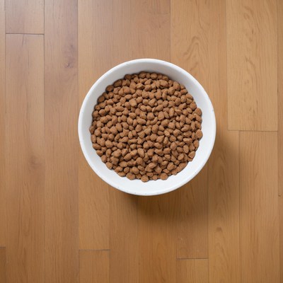 Bowl of dry dog food on wood floor