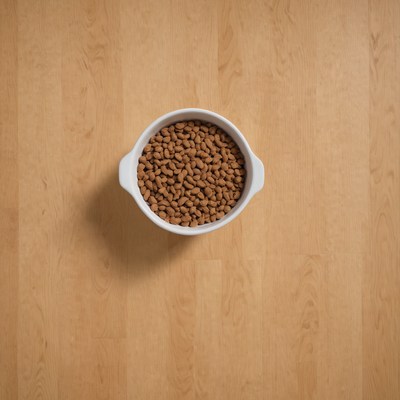 White bowl of dog food on table