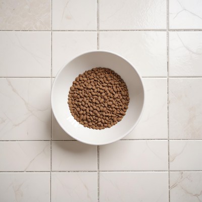 Dog food in white bowl on tile floor