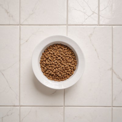 Pet food in bowl on tile floor