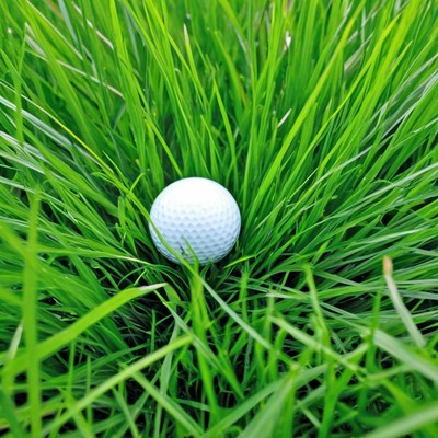 Golf ball in green grass