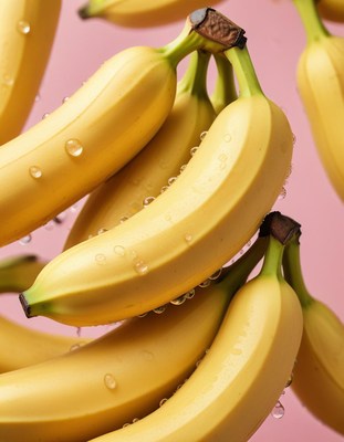 Freshly picked bananas on pink background