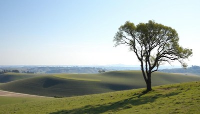 Lone tree on rolling hills under clear blue sky
