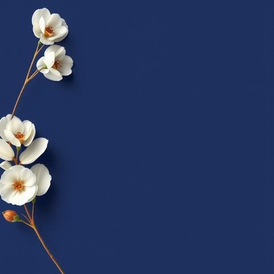 White flowers on a blue background