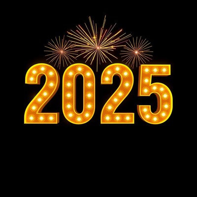 Illuminated 2025 with fireworks