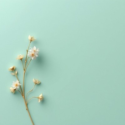 White flowers on a blue background