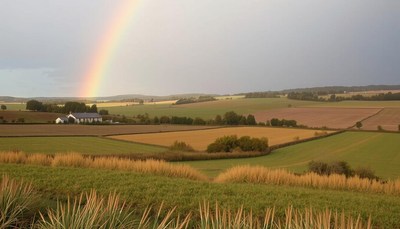 A rainbow over rural farmland