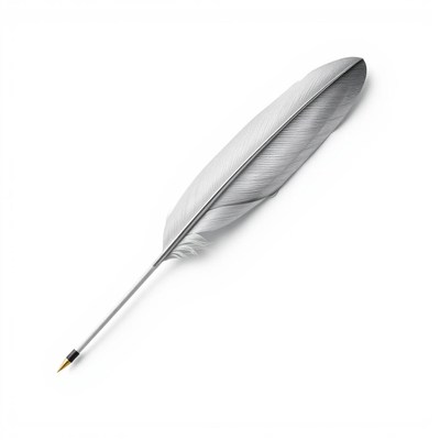 A white feather lies on a white background