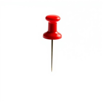 A red push pin on a white background