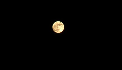 The full moon shines brightly in the night sky