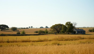 A farmhouse sits on a field of wheat