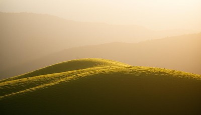 A grassy hill in the morning mist