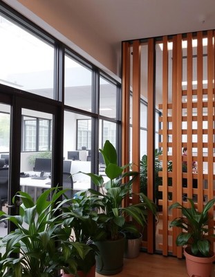 Green plants in pots sit by a wooden partition