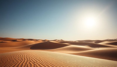 The sahara desert stretches out under the midday sun