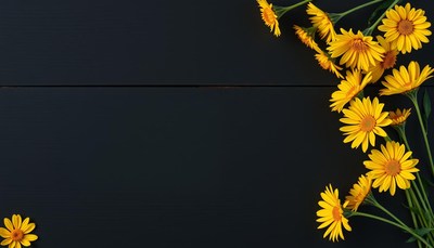 Yellow flowers on a black background