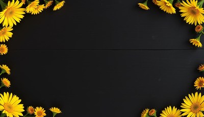 Yellow flowers frame a black background