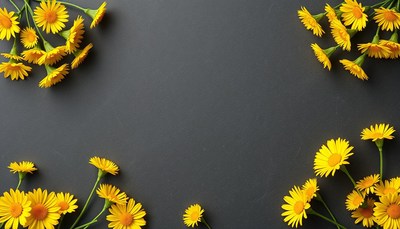 Yellow flowers on a dark background