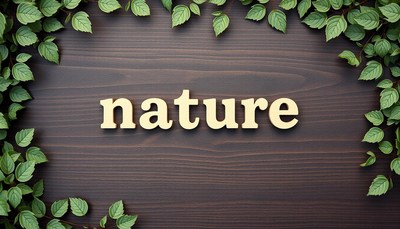 The word nature is spelled out on a wooden surface