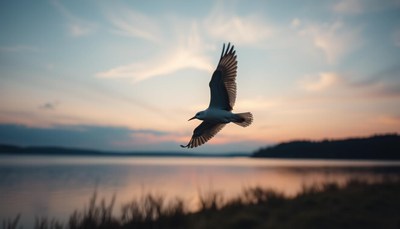 A bird flies over a lake at sunset