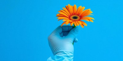 A hand in a blue glove holds a bright orange flower