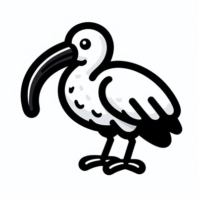 A white ibis with a curved beak on a white backdrop