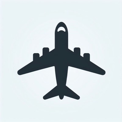 A black and white airplane icon
