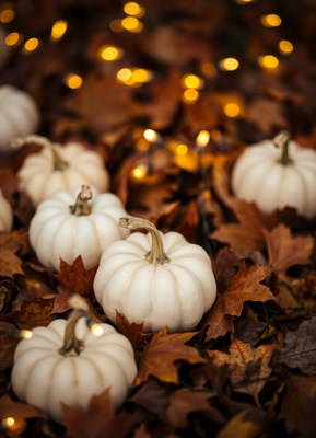 White pumpkins sit among autumn leaves