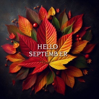 Hello september, a collection of autumn leaves