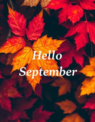 Hello september, the leaves are starting to change