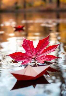 A red maple leaf floats on water with a red paper boat