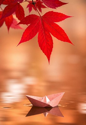 A red maple leaf hangs over a paper boat floating on water