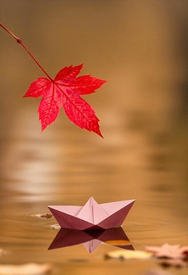 A red leaf hangs above a paper boat floating in a puddle