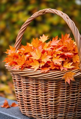 A wicker basket filled with autumn leaves