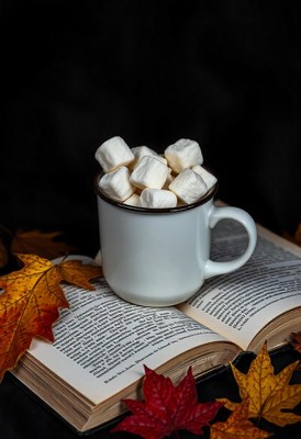 A mug of marshmallows atop a book and leaves
